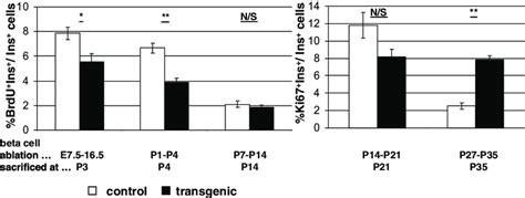 The Potential For Compensatory Proliferation Of B Cells Develops With