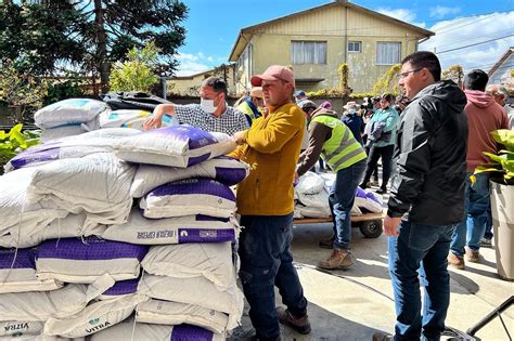 Indap Biobio Contin A Entrega De Fertilizantes A Peque Os Agricultores