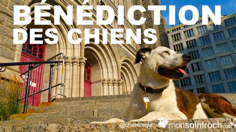 ON EST LIVE Leeloo et la bénédiction des chiens à l église St Roch