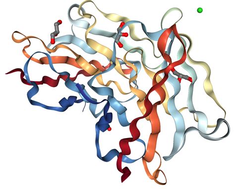 CEACAM 3 CD66d Protein Overview Sino Biological