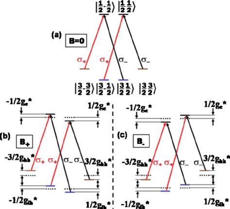 Color Online Schematic Energy Level Diagram And Arrows Showing