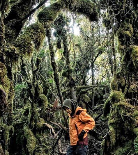 Pendakicantik Telaga Dewi Menjadi Primadona Gunung Singgalang Yang