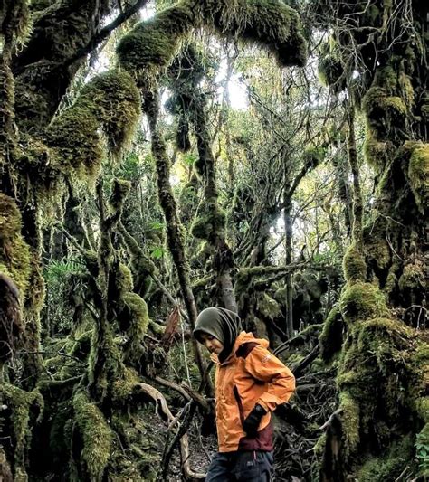 PendakiCantik Telaga Dewi Menjadi Primadona Gunung Singgalang Yang