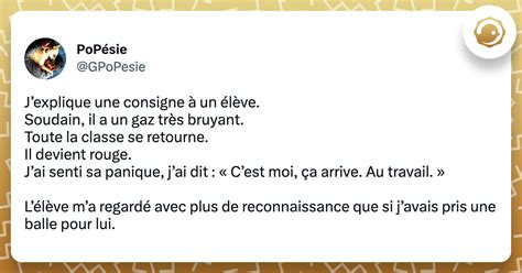 Top Des Meilleurs Tweets Sur Les Pets Twog