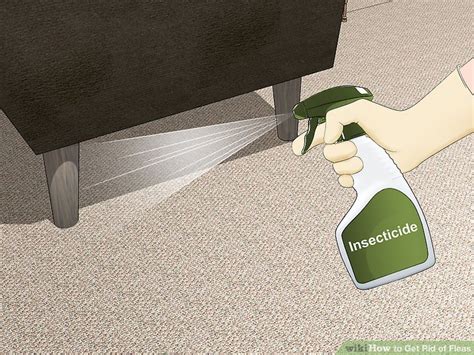 3 Ways to Get Rid of Fleas - wikiHow