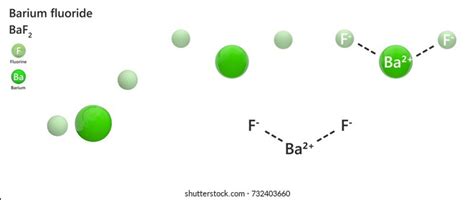 2 Imágenes De Baf2 Imágenes Fotos Y Vectores De Stock Shutterstock