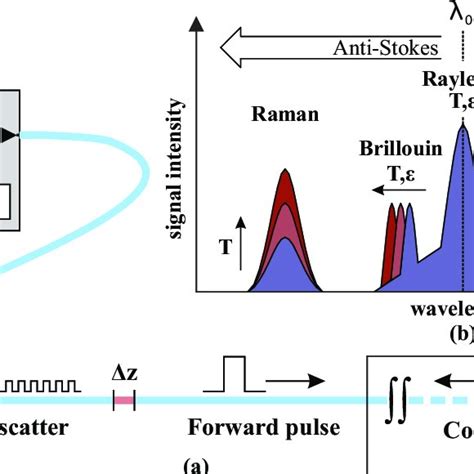 Distributed Fiber Optic Sensing Techniques 30 A Basic Scheme Of