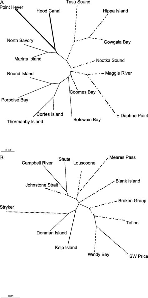 Neighbor Joining Dendrogram Based On Nei S 1978 Genetic Distances