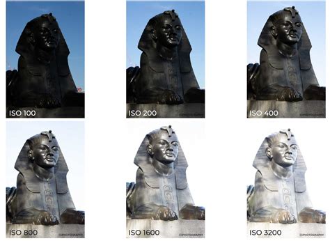 iso  photographers  meaning  iso