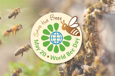 Celebrating The Buzz In May World Bee Day And Honey Month Plant