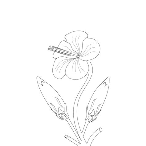 Page De Coloriage De Fleur D Hibiscus De Croquis De Fleur D Art De