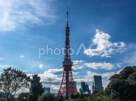 【東京都】増上寺と東京タワー No 3772391｜写真素材なら「写真ac」無料（フリー）ダウンロードok