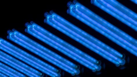 Do UV Lights Kill Viruses? | Blue Ox Heating & Air | AC and Furnace ...