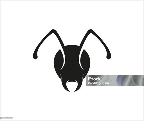 Simbol Desain Ikon Vektor Kepala Semut Hitam Kreatif Ilustrasi Stok