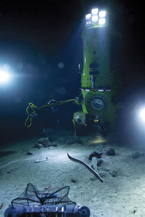 A Dive To Challenger Deep Science