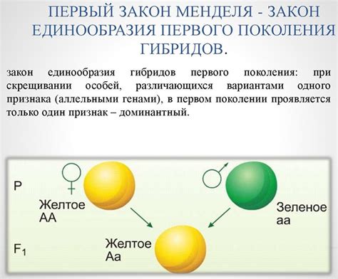 Biology - осн закономерности наследственности