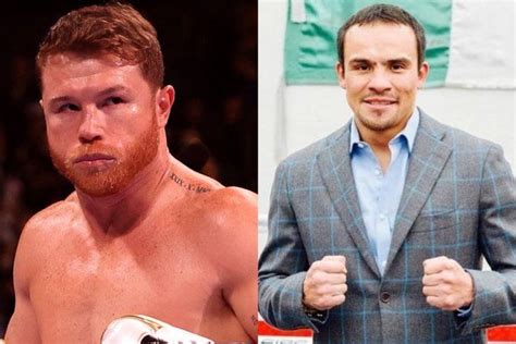 Juan Manuel Márquez Habla De Canelo Álvarez Y Su Decisión De No Pelear