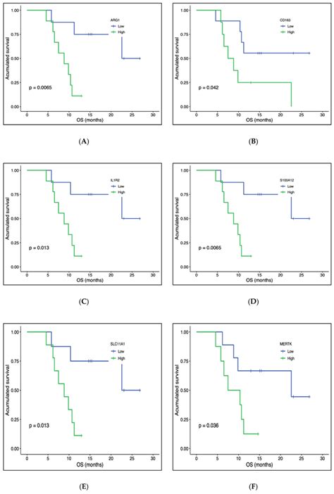 Kaplanmeier Overall Survival Analysis By Baseline Gene Expression