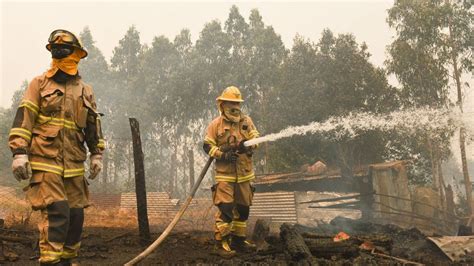 Biobío Cerca De 26 300 Hectáreas Han Sido Consumidas Por Incendios