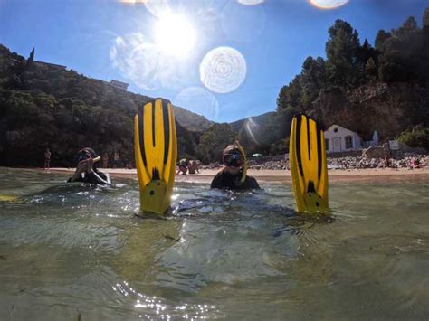 Arrábida Snorkeling experience in Arrábida Marine Reserve GetYourGuide