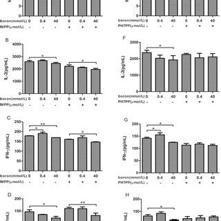 The effects of boron on the secretion of IgG IL 2 IFN γ and IL 4 in