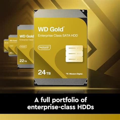 Western Digital 24TB WD Gold Enterprise Class SATA Internal Hard Drive