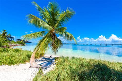 10 Best Beaches in Florida Keys - Which Florida Keys Beach is Right For ...