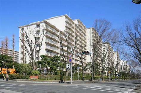 新松戸サンライトパストラル五番街d棟の建物情報千葉県松戸市新松戸7丁目｜【アットホーム】建物ライブラリー｜不動産・物件・住宅情報