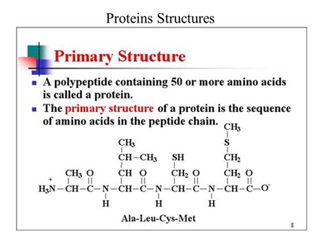 Primary Polypeptide Structure