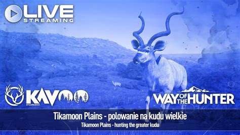 LIVE Way Of The Hunter Tikamoon Plains Polowanie Na Kudu Wielkie