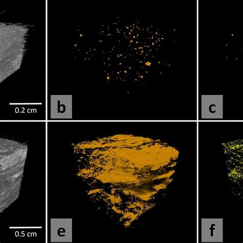 Dect In Situ Visualization Of The Uf Resin In Experimental Mdf Samples