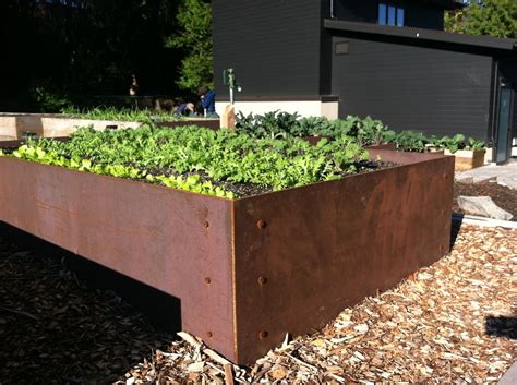 Steel Framed Raised Beds Seattle Urban Farm Company