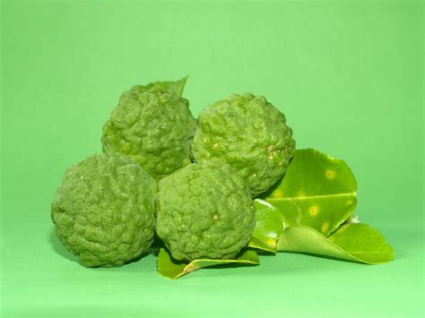 Bergamot Fruit Free Stock Photo - Public Domain Pictures