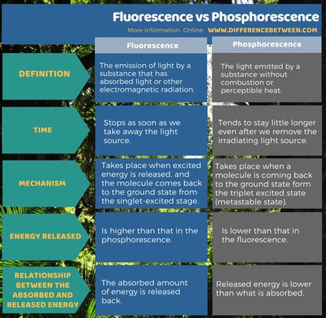 Difference Between Fluorescence And Phosphorescence Compare The