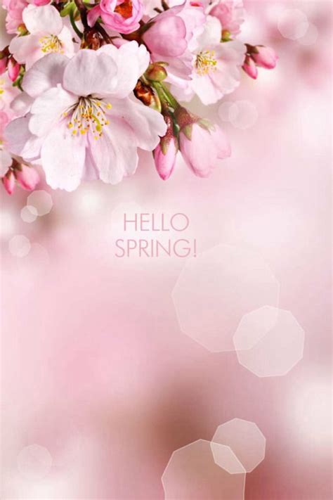 Hello Spring With Flowers Pictures Photos And Images For Facebook