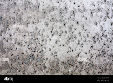 Old Grunge Cement Wall Background Texture Stock Photo Alamy