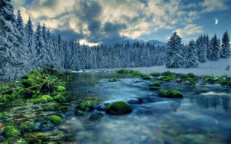 Fondos de pantalla Paisaje de invierno río bosque árboles cielo