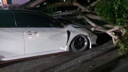 Mobil Honda Civic Tertimpa Pohon Tumbang Di Kendari