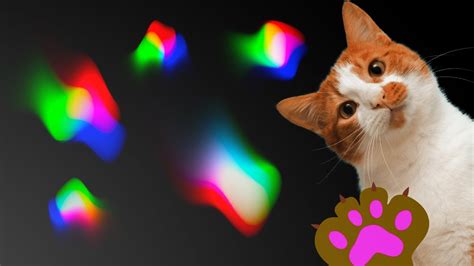 JUEGO PARA GATOS Atrapar Luces Laser Varios Colores VIDEO Y