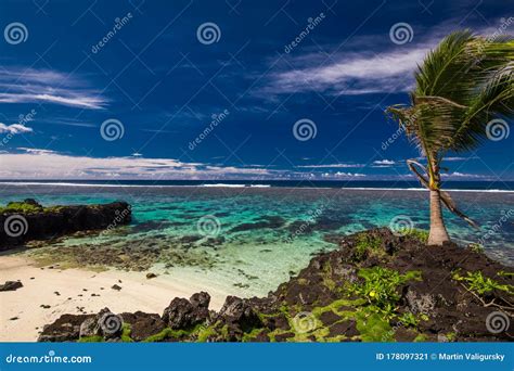 Playa Tropical Al Sur De La Isla De Samoa Con Cocoteros Imagen De