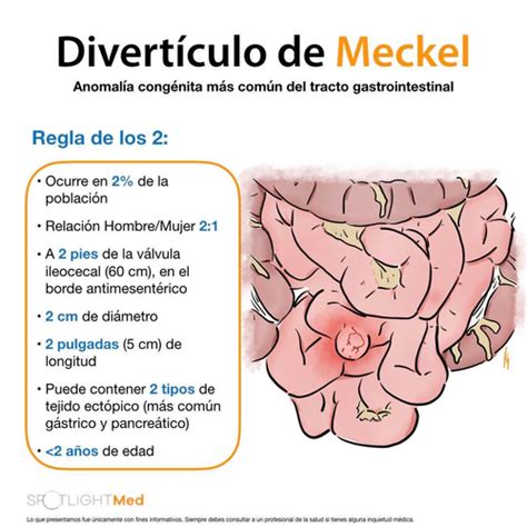 Bloque 3 Flashcards Quizlet