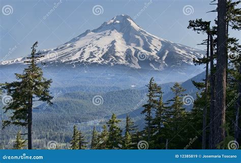 Beautiful Vista Of Mount Hood In Oregon Usa Stock Image Image Of