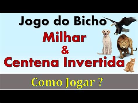 O Que Centena De Milhar Jogo Do Bicho Jogo Do Bicho