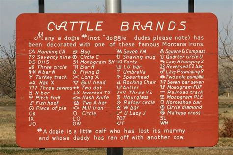 Cattle Brands Understanding Livestock Branding