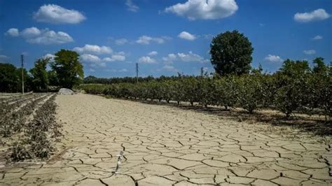 Corriere ortofrutticolo SICCITÀ RIMBORSO A SOSTEGNO DEGLI