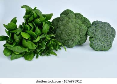 Different Types Cabbage Spinach Isolated On Stock Photo 1876993912 ...