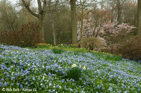 National Garden Scheme On Twitter We Have A Collection Of 1927 Gardens Open This Weekend🙌