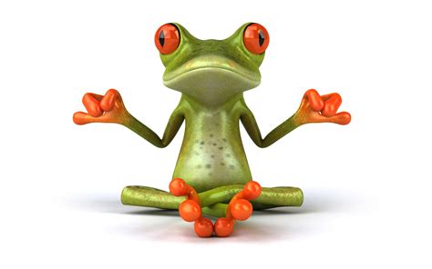 🔥 [80+] Funny Frog Wallpapers | WallpaperSafari