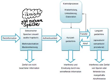 APA 4 Aufmerksamkeit Karteikarten Quizlet