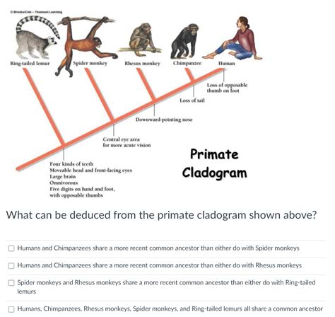 Solved Question 9 1 pts Present 3 species Species Species | Chegg.com 